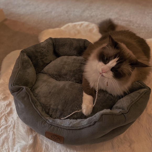 SMALL DOG / MEDIUM CAT BED IN GRAY 🤍 - Picture 2 of 4